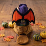 Buc-ee’s Halloween Vampire Plushie, Spooky Beaver Stuffed Animal, Seasonal Plush Collectible & Halloween Gift - Image 2